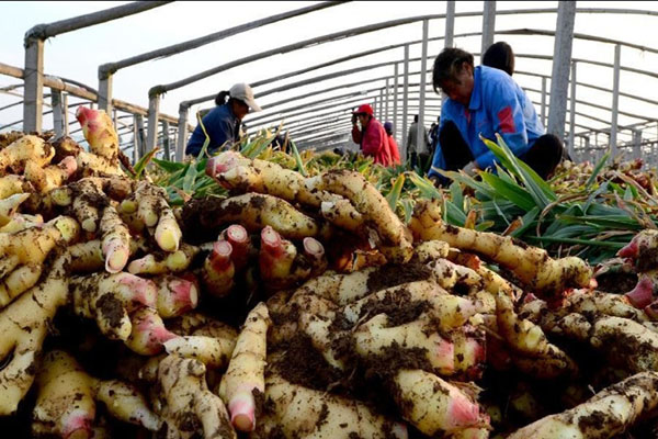 上犹产业园,全国各地的电商产业园