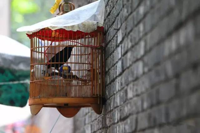 西安最有名旅游景点排名,西安十大值得去的景点排名