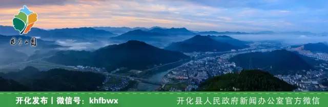 杨林的近况,杨林现在怎么样