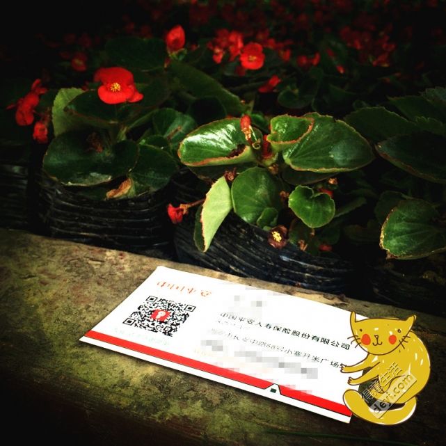 攻略｜感谢老天的不胖之恩，让我肆无忌惮的吃遍西安！3天2夜游，仅需一天假，1小时抵达！