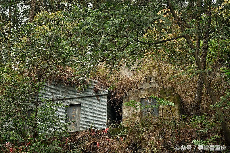 綦江渝黔盐茶古道,探秘鬼传说