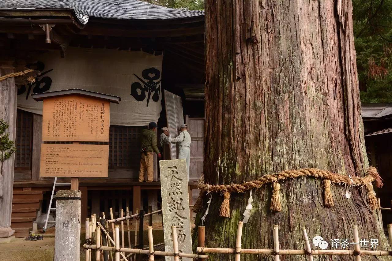 找茶旅记-日本找茶记之飞弹高山，体验最原汁原味的日本！