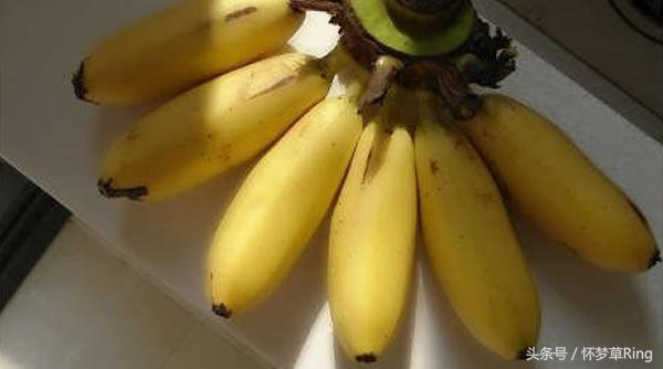 三亚必吃的十大水果排名,海南三亚最爱吃的水果