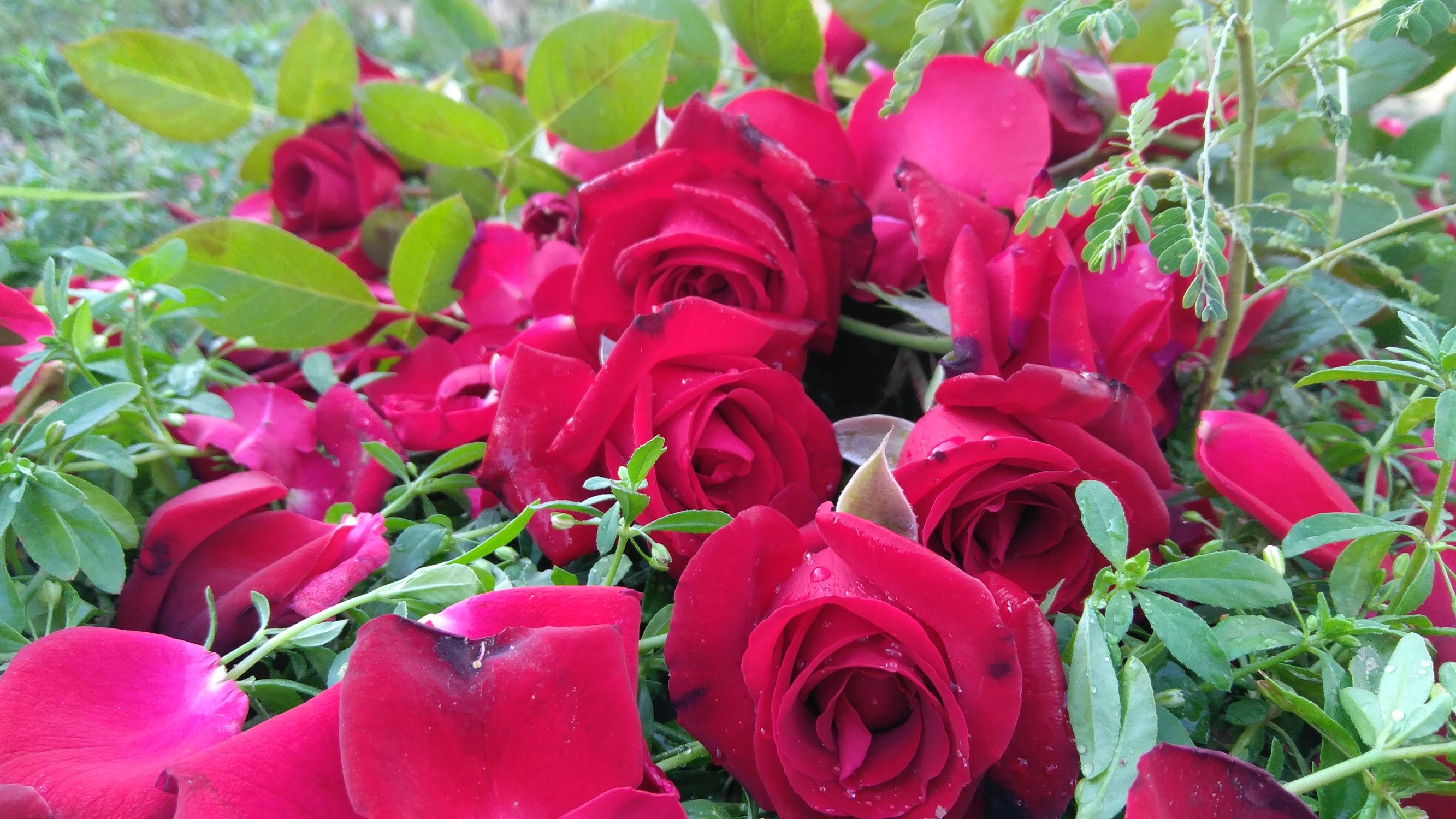 热门手机资料汇总“游戏续航时间、手机充电时间还有价格”想要在暑假里,买手机的老铁们注意了