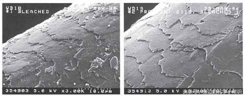 洗发水里面的硅油是什么成分,硅油在洗发水里有注明吗