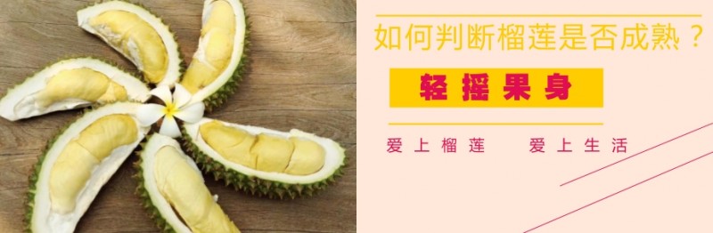 怎么看榴莲熟不熟能不能吃,涨知识了有些食物不能冷冻