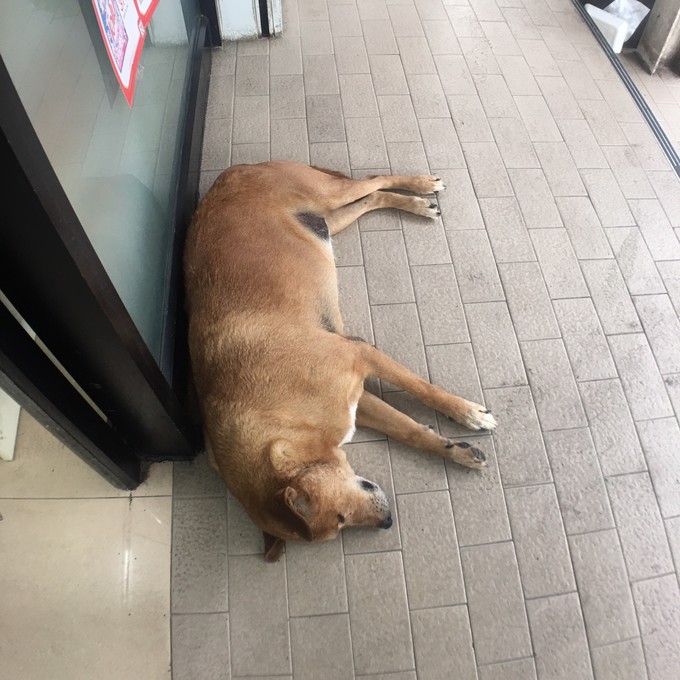 带上爱人和闺密的难忘泰国游