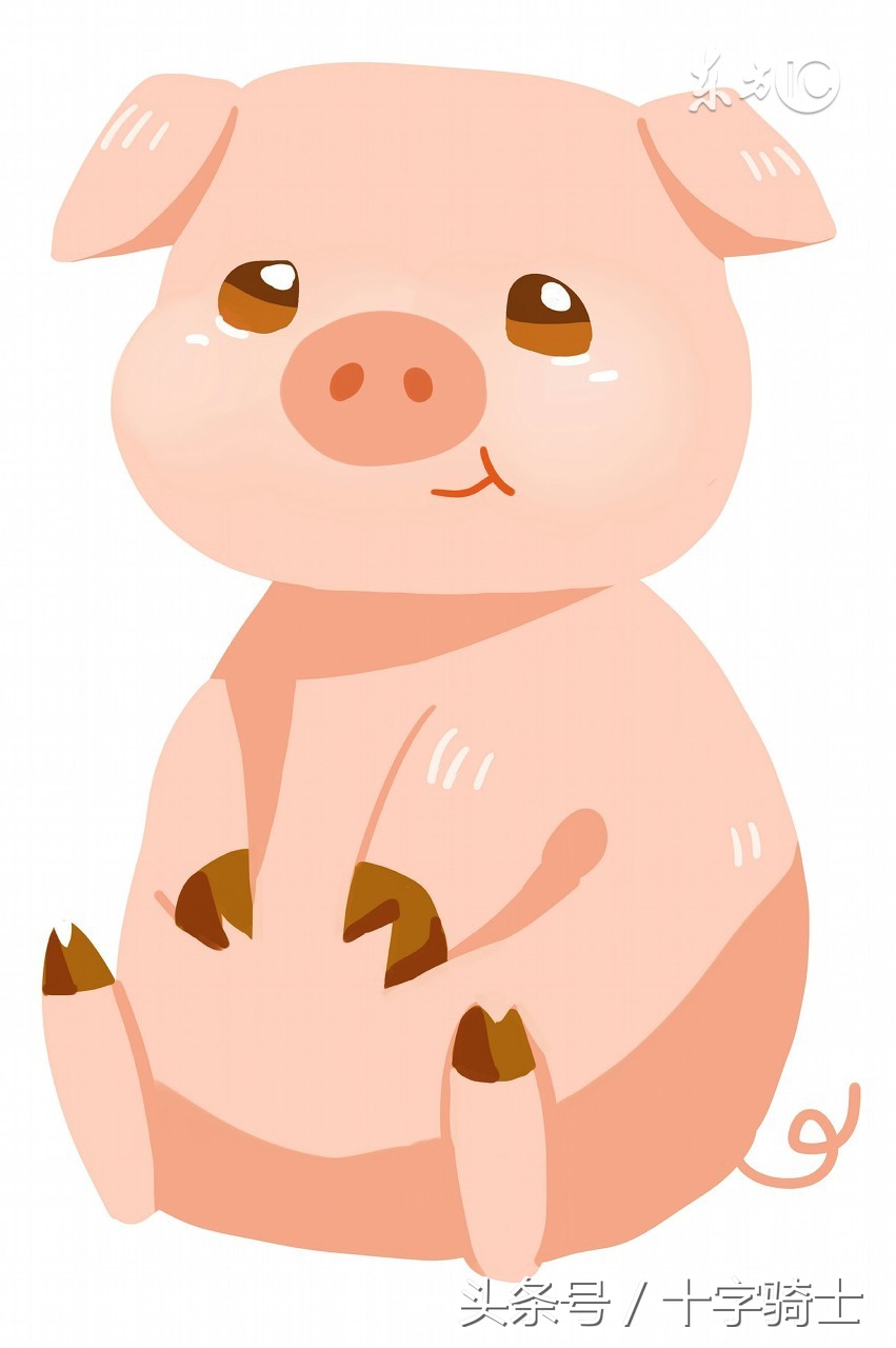 属猪每日五行穿衣运势,属猪五行运势