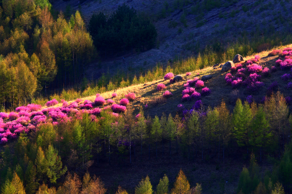 乡村小景光影风景摄影,光影速写风景