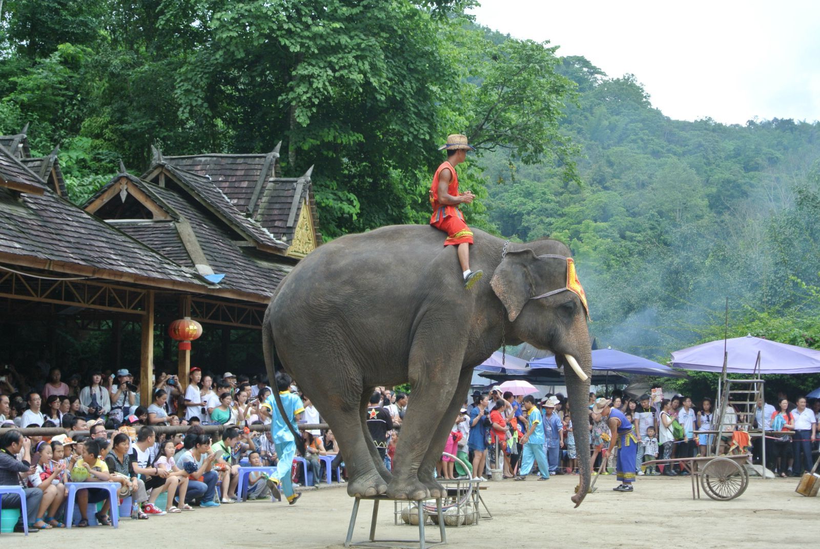 去云南旅游买玉手镯靠谱吗,去云南买玉手镯是真的吗