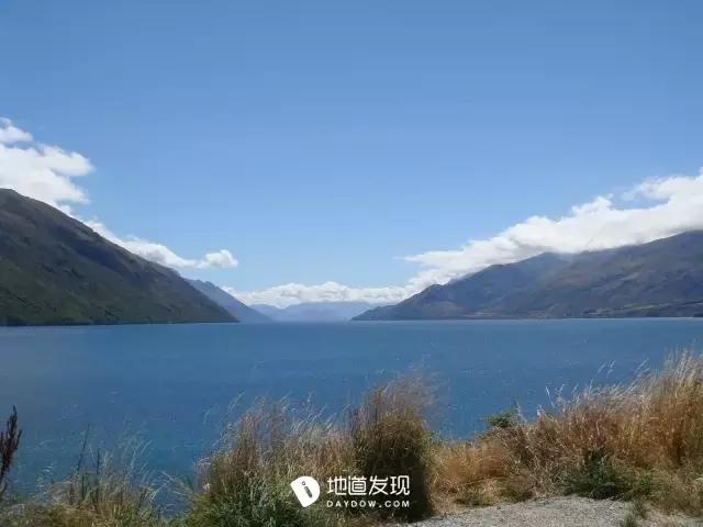 痛哭！即使今天抢不到新西兰打工旅行签证，也不能放弃新西兰啊！