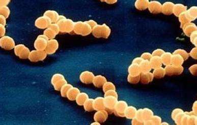 皮疹的五种症状,各种皮疹的症状