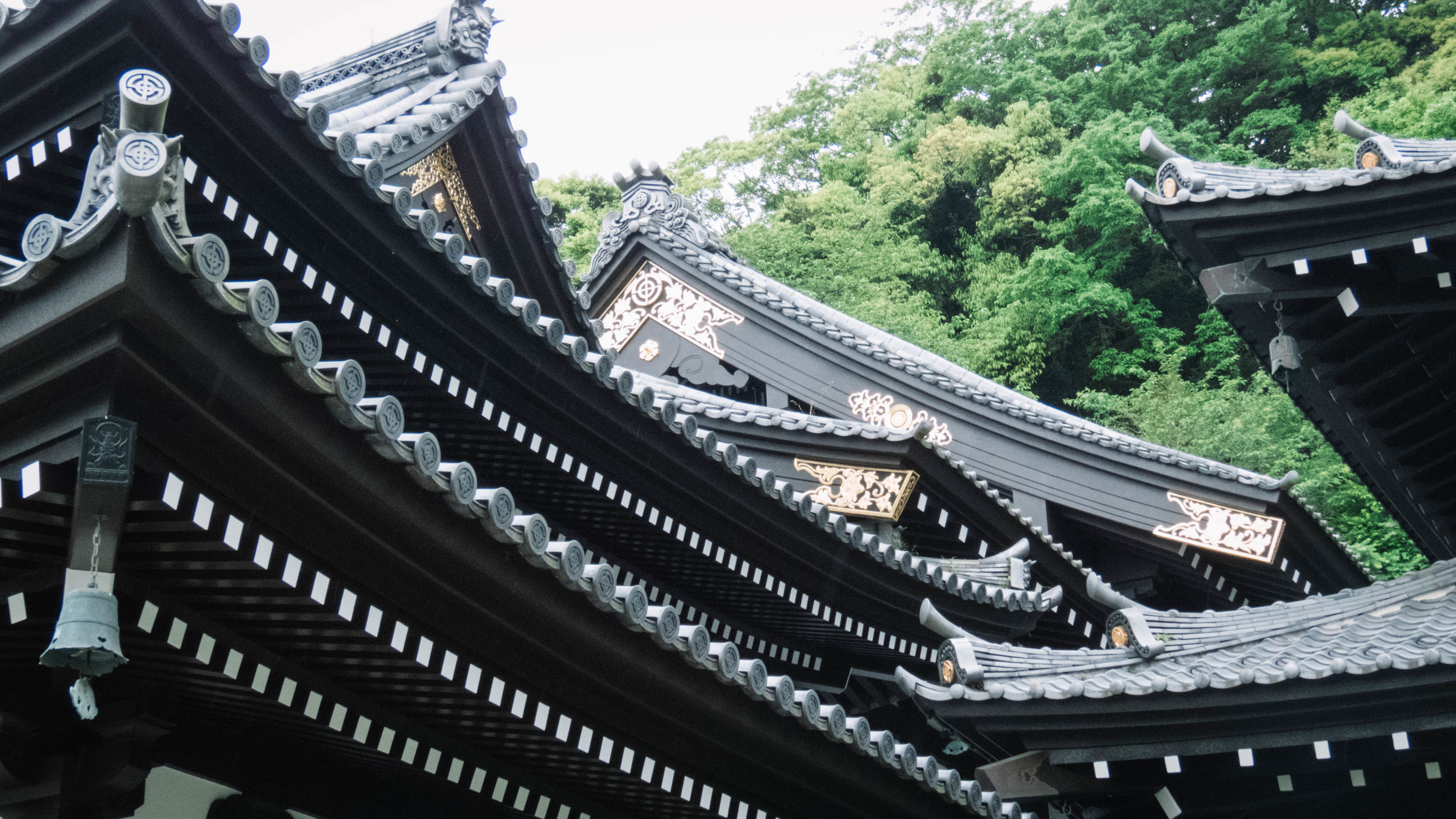 东京镰仓横滨旅游攻略,东京镰仓箱根伊豆富士山路线