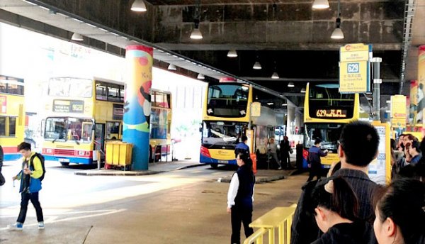 暑假去香港海洋公园攻略图片,去香港海洋公园旅游全攻略