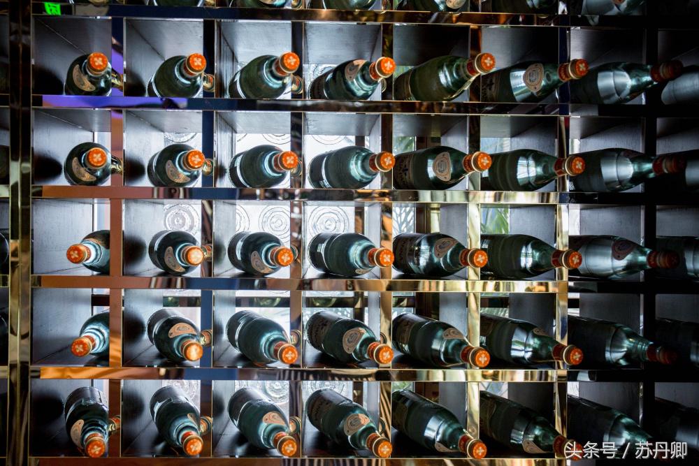 深圳世界之窗中途出去能再进吗,深圳世界之窗要准备什么