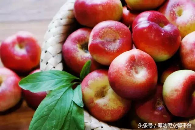 油桃还是毛桃,油桃和桃树怎么分辨