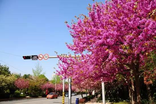 西安最有名旅游景点排名,西安十大值得去的景点排名