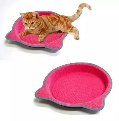 从让人捧腹的铝盆和鸡窝大抢购,看猫咪用品创业商机