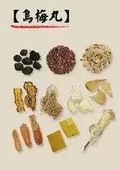 乌梅丸治疗遗精,乌梅丸吃多遗精怎么回事