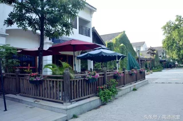 刘家旺普罗旺斯薰衣草花海,法国普罗旺斯薰衣草花海唯美视频