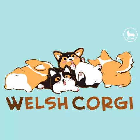 一颦一笑都是你！萌宠周边设计好推荐