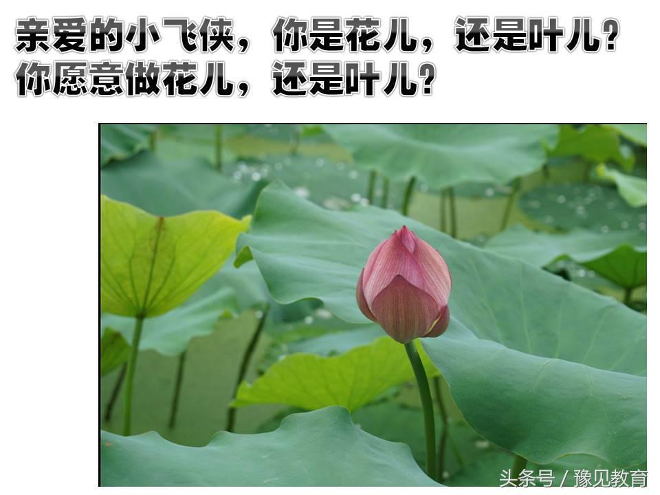 鍗楁槑鏁欒偛闆嗗洟椹幉,鍗楁槑鏁欒偛椹幉鑰佸笀