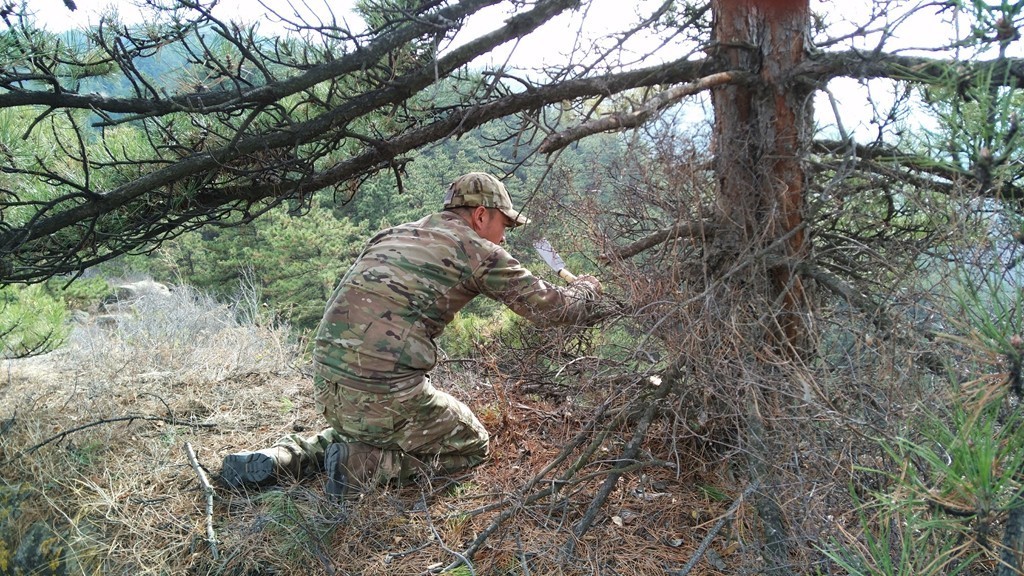怎么加入猫盟,猫盟百科全书