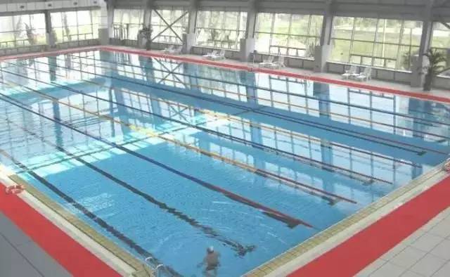 收藏｜34℃请来水中避暑！哈尔滨游泳馆最全攻略