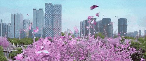 柳州自行车骑行路线,柳州山地车骑行最美村庄