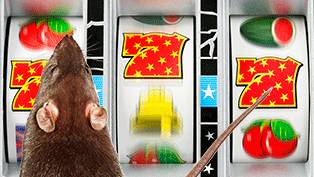 赌瘾来了是怎么一回事呢,赌瘾到底是什么病