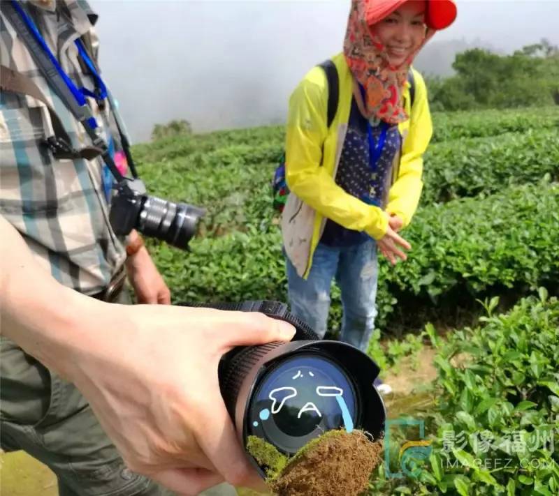 游茶山,游茶山竹海