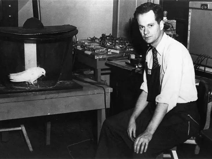 赌瘾来了是怎么一回事呢,赌瘾到底是什么病