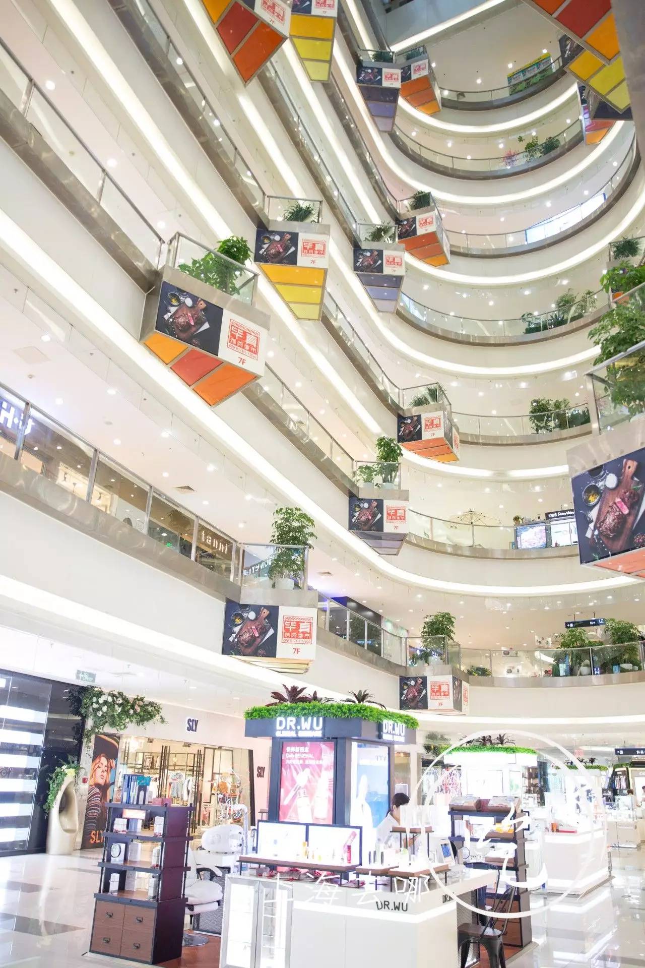 今天龙之梦有什么新闻,明天上海虹口龙之梦会开吗