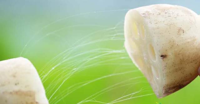 昌吉美食环境优雅,昌吉美食餐厅排行榜前十名