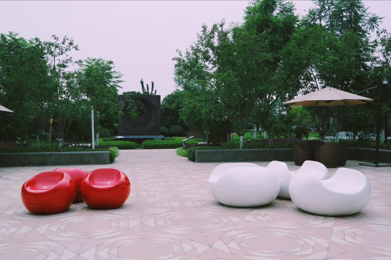 盘点十大网红萌宠,盘点全网6只网红萌宠