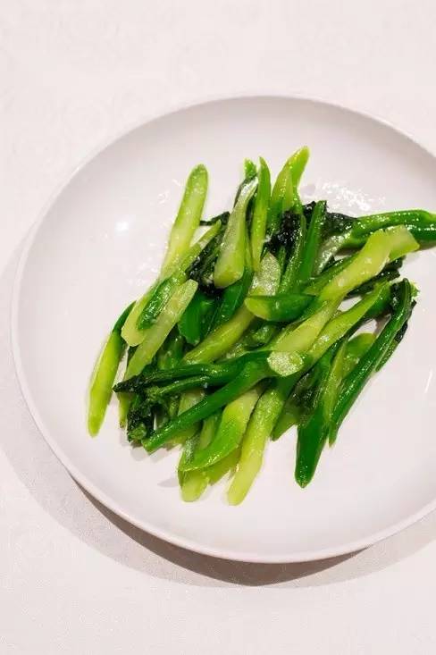 非凡大气，亲切如故|万丽天津宾馆体验记