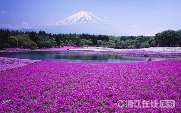 澳洲出境旅游退税攻略,出境游捡漏