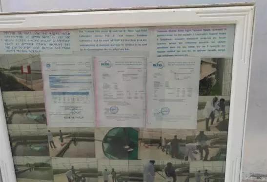 亚洲最大玫瑰花基地,世界最大玫瑰种植基地