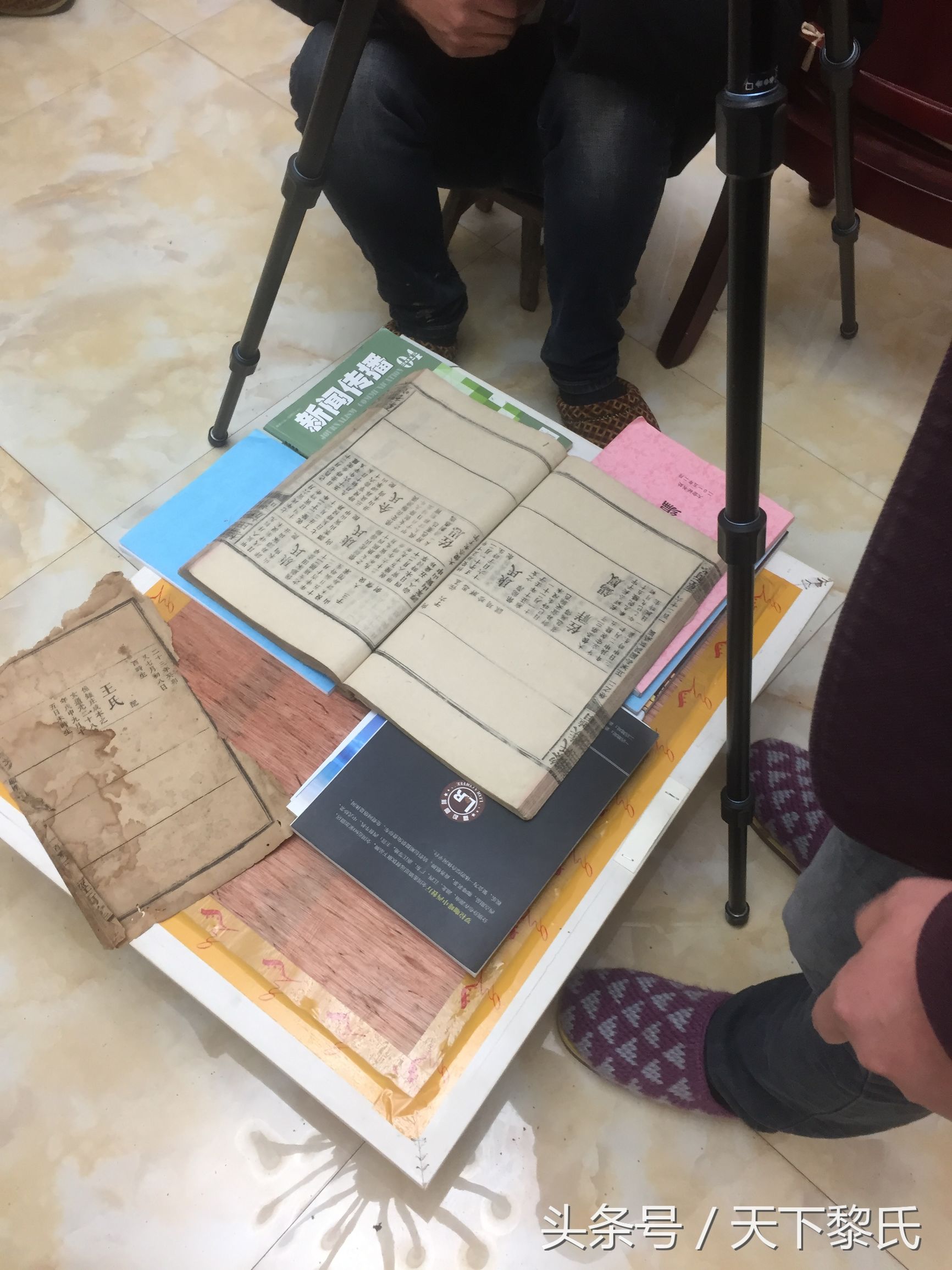 族谱家谱区别你知道吗,怎么读懂家谱的简谱