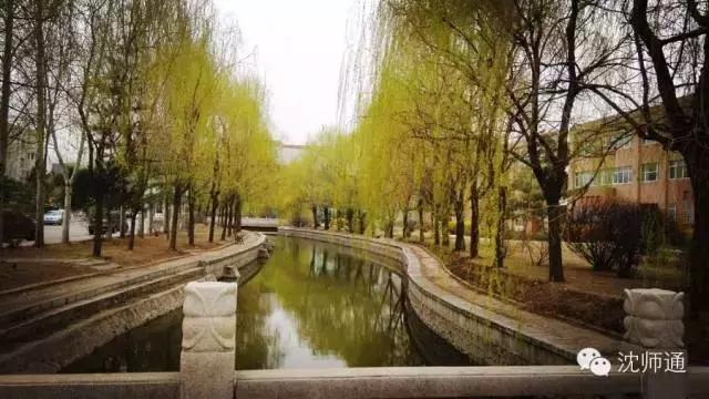 沈阳师范大学青春,再见青春沈阳