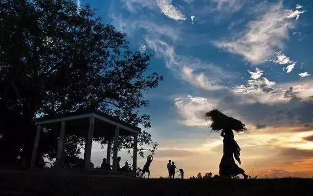 夏天的骄阳十分炎热,夏日的骄阳美歌曲完整版