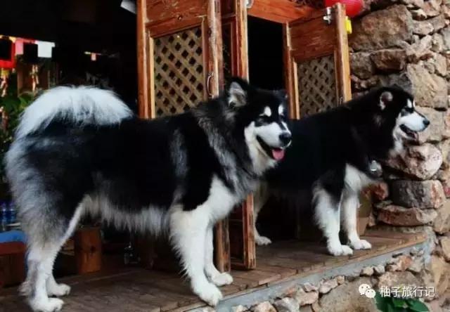 毕业旅行之丽江大理游,大理丽江毕业旅行