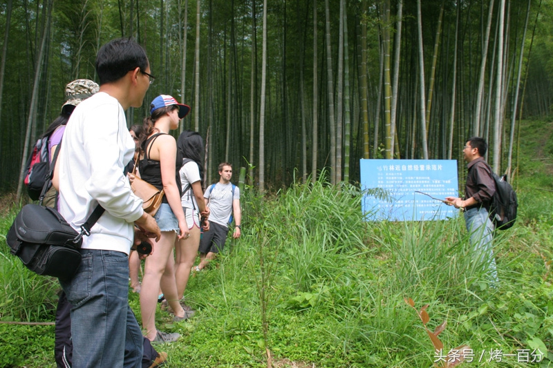 南平宝山旅游景区,福建南平市旅游景点大全