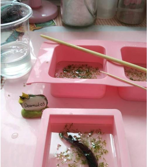 喜爱的金鱼死了怎么办？不如做成标本收藏起来