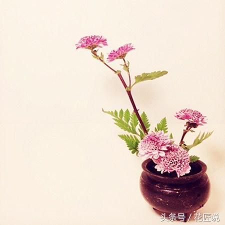 花艺插花花道有哪些区别,插花的几种基本造型花艺