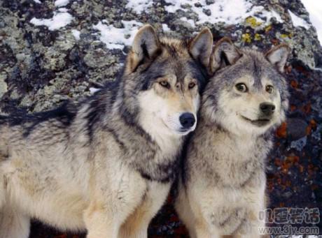 壮士不懂，你有喜了