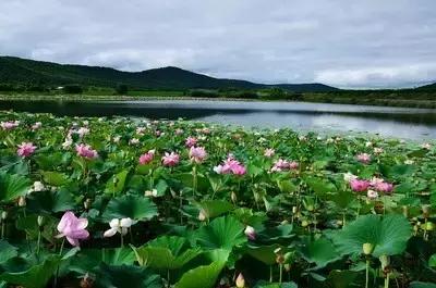 延边最好的边境小镇,延边入选十大魅力城市