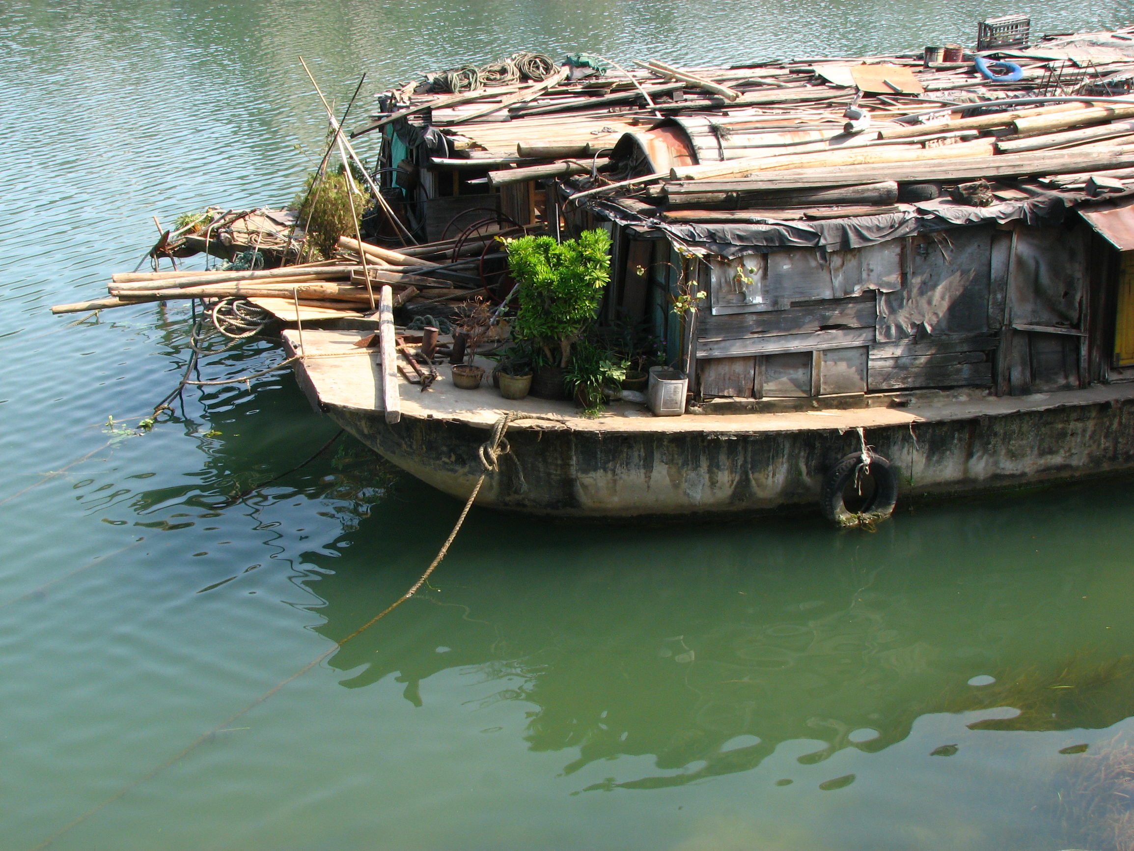 回忆爷爷小时候经常给我做一道菜 (让我想起小时候的一道菜)