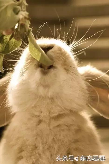 亲子互动手指谣,亲子互动手指谣小板凳