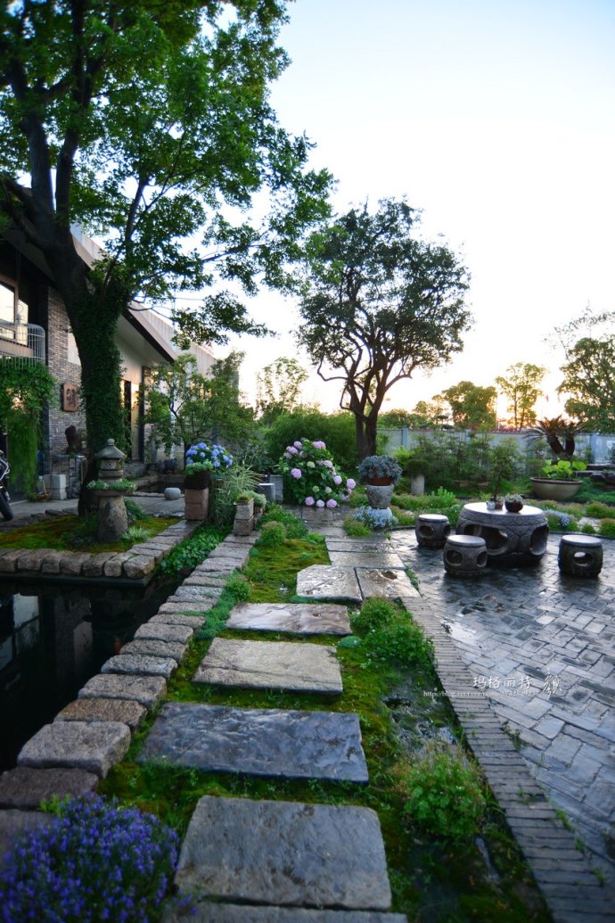 鎷滆涓滅鑽夊爞,鑺卞洯鎷滆